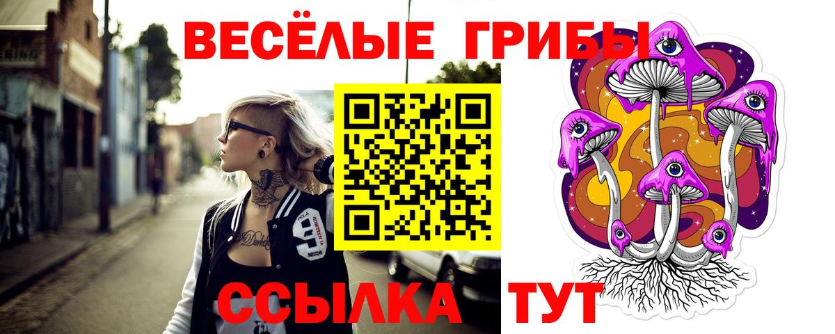 Лесозаводск  Псилоцибиновые грибы Cubensis  Вход с VPN 