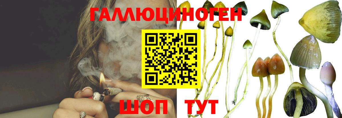 Псилоцибиновые грибы MAGIC MUSHROOMS Лесозаводск